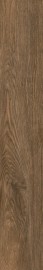 Simple Brown